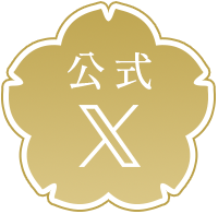 公式X