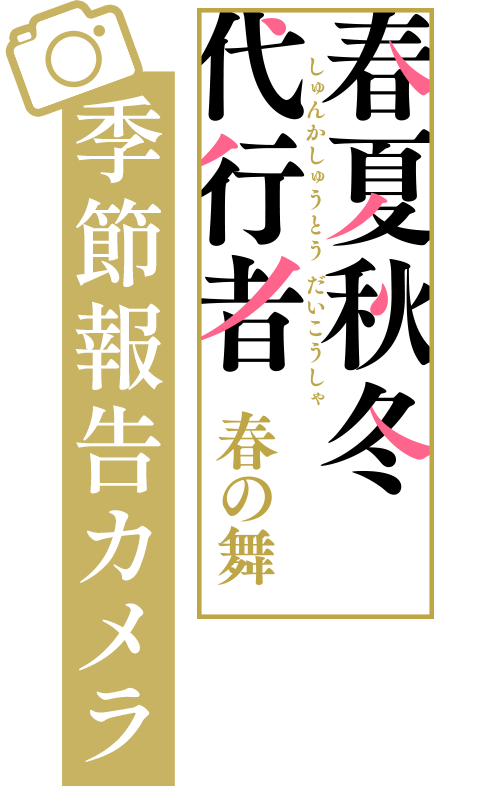 春夏秋冬代行者 春の舞 季節報告カメラ