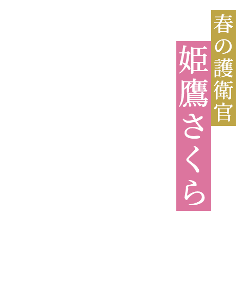 春の護衛官 姫鷹さくら