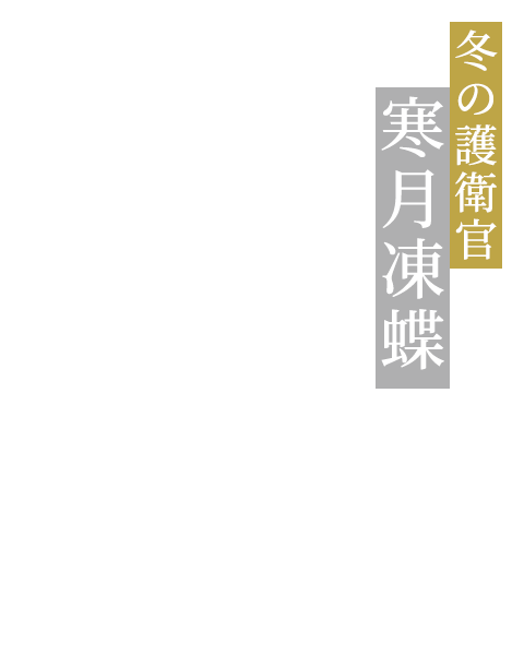 冬の護衛官 寒月凍蝶